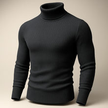 Load image into Gallery viewer, Bundle Of 2 Basic High Neck