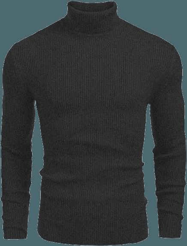 Basic Charcoal High neck - Aesthetic Gen