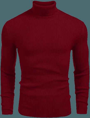 Basic Maroon High neck - 2XL - 3XL - Aesthetic Gen