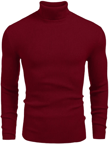 Basic Maroon High neck-Aesthetic Gen