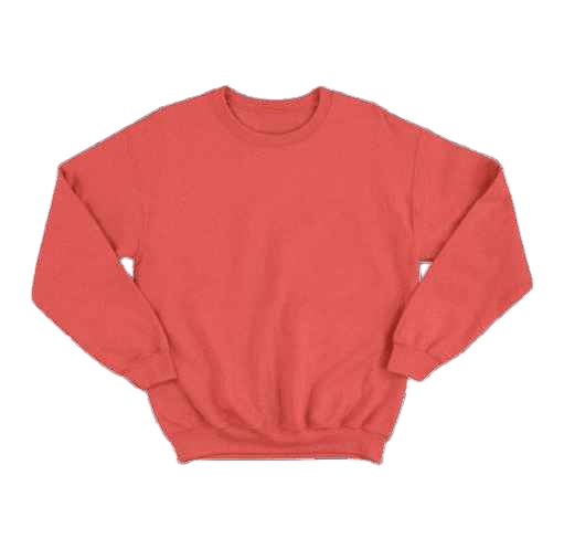 Basic Red Sweatshirt